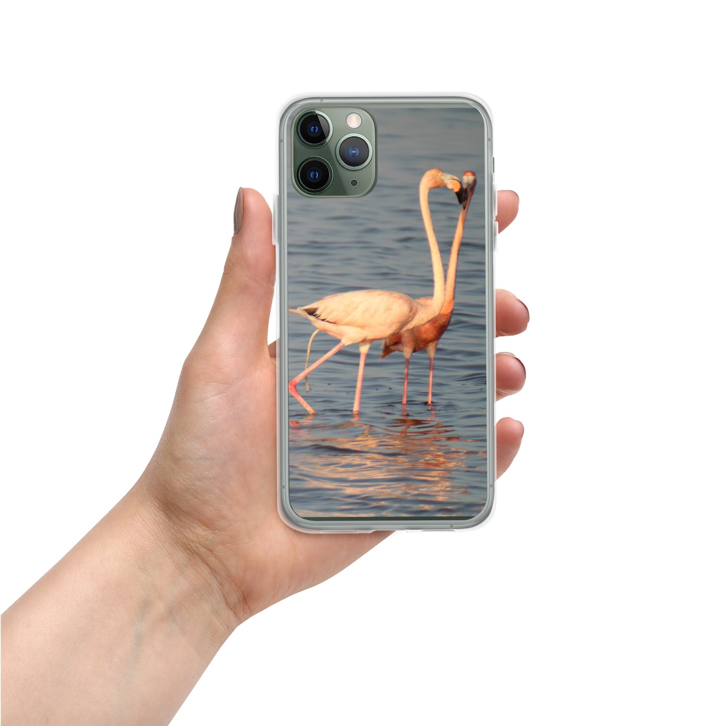 kissing flamingos iPhone Case