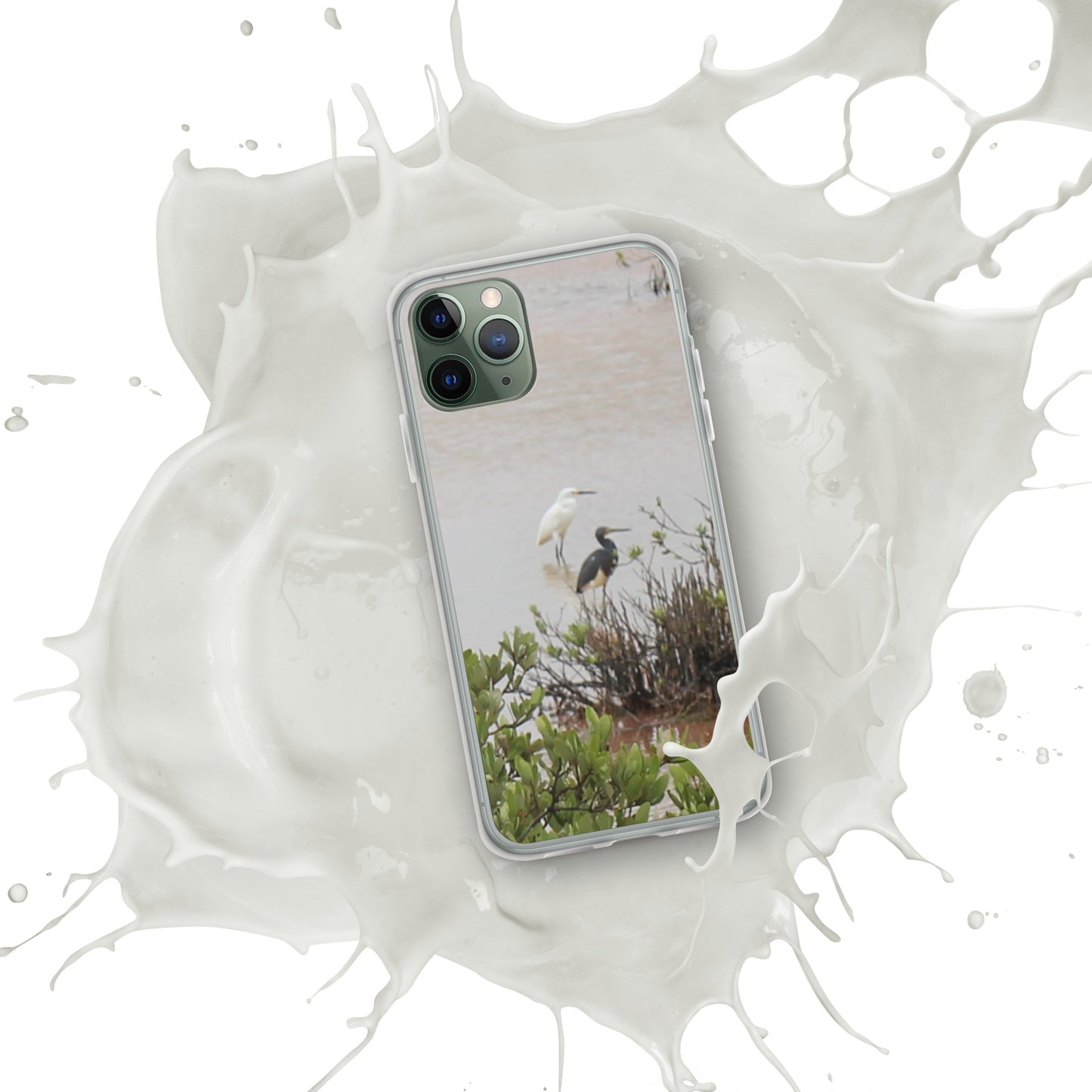 Marsh birds iPhone Case