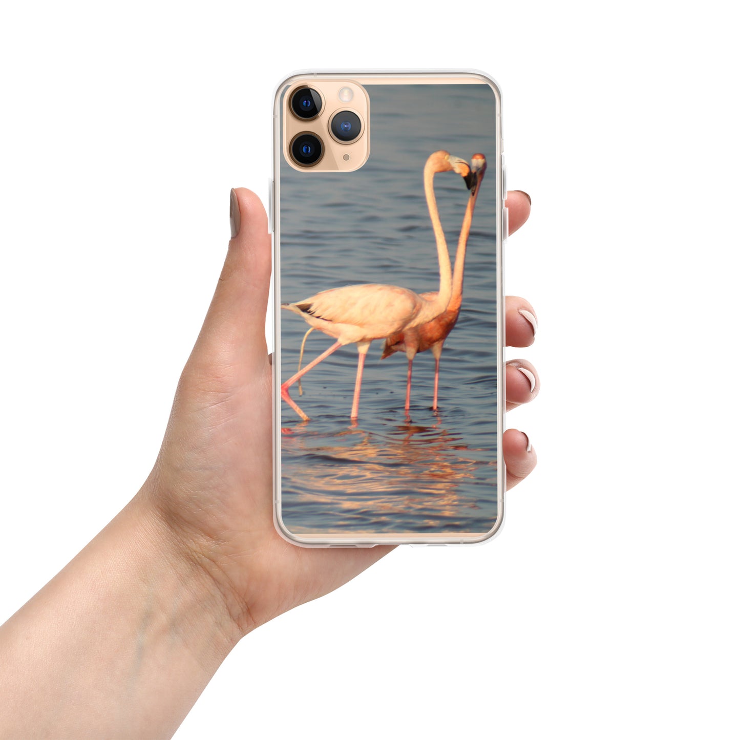 kissing flamingos iPhone Case