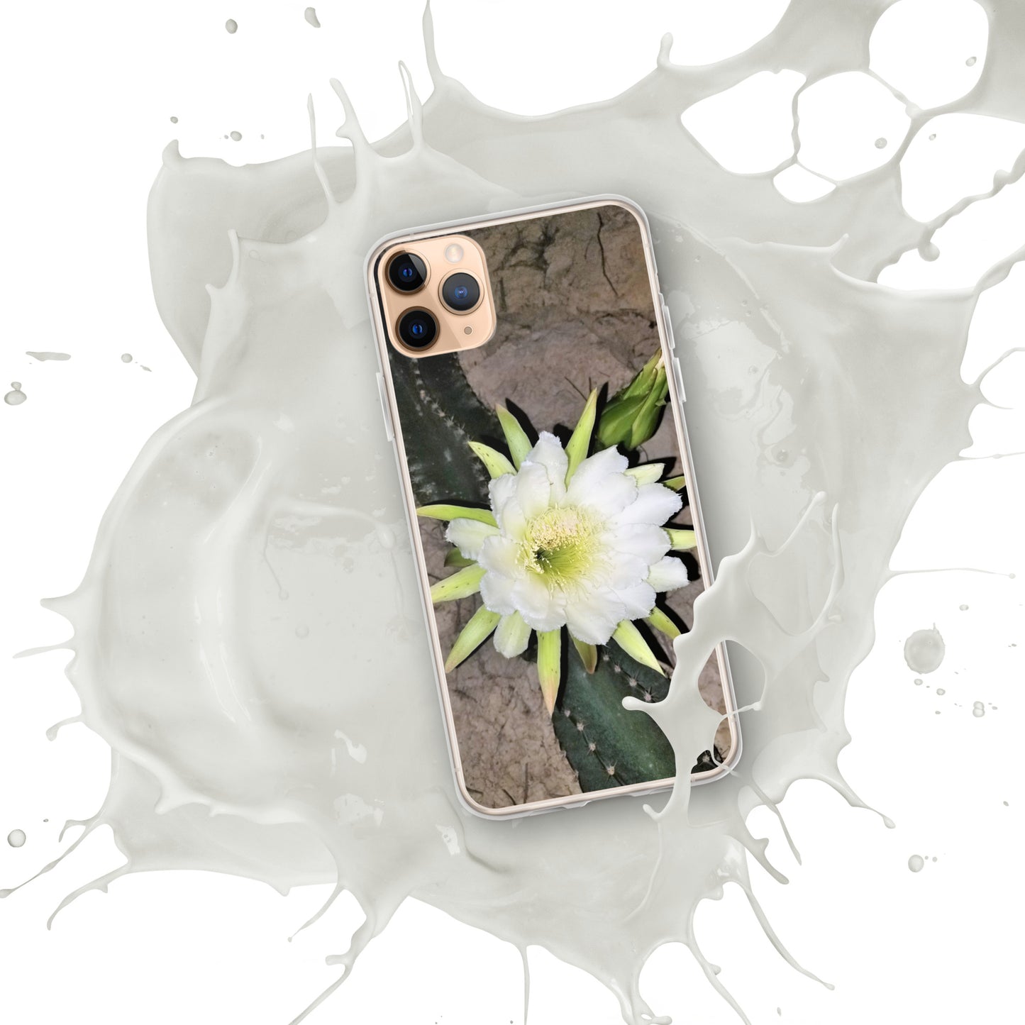 Cactus Flower iPhone Case