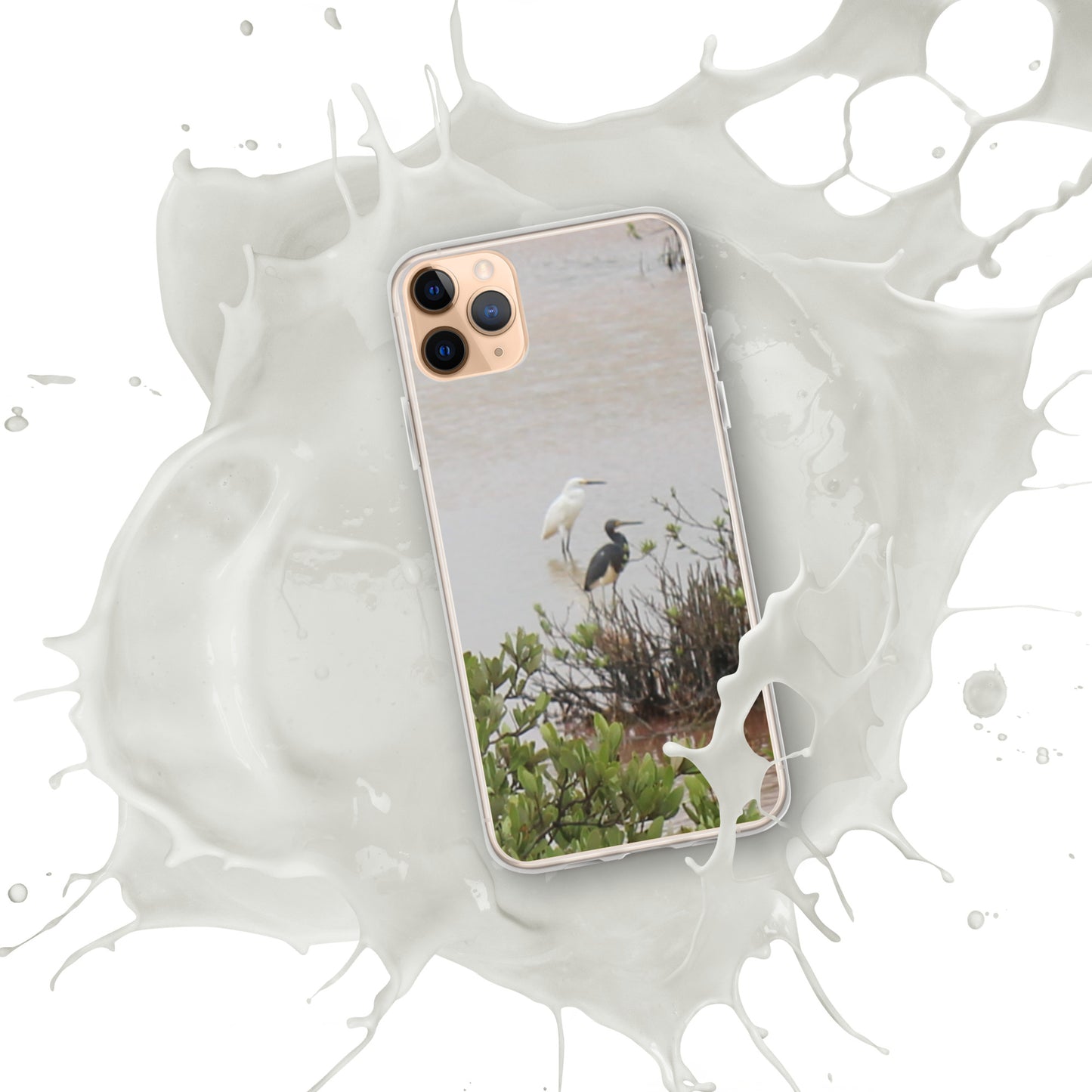 Marsh birds iPhone Case