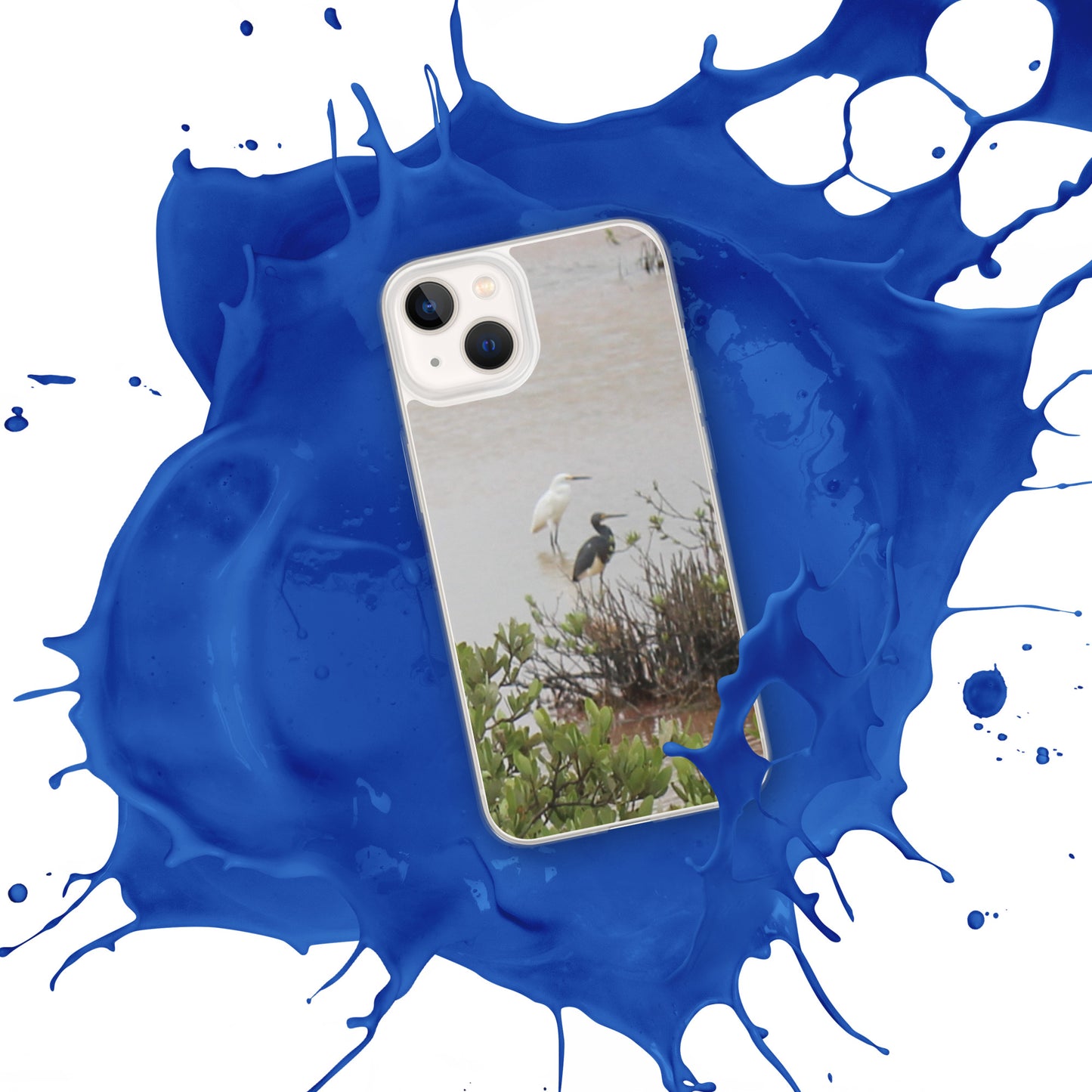 Marsh birds iPhone Case