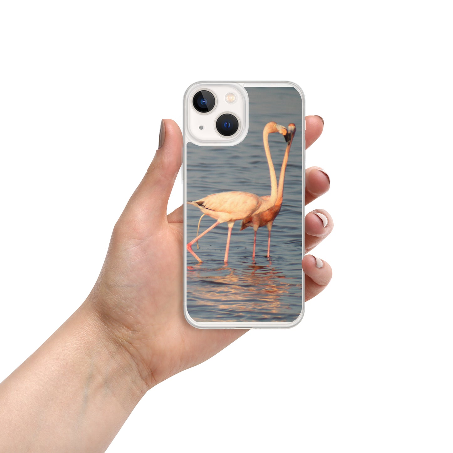 kissing flamingos iPhone Case