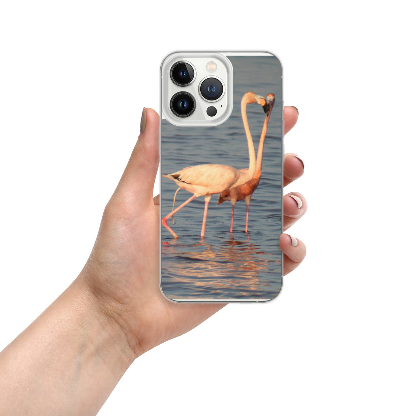 kissing flamingos iPhone Case