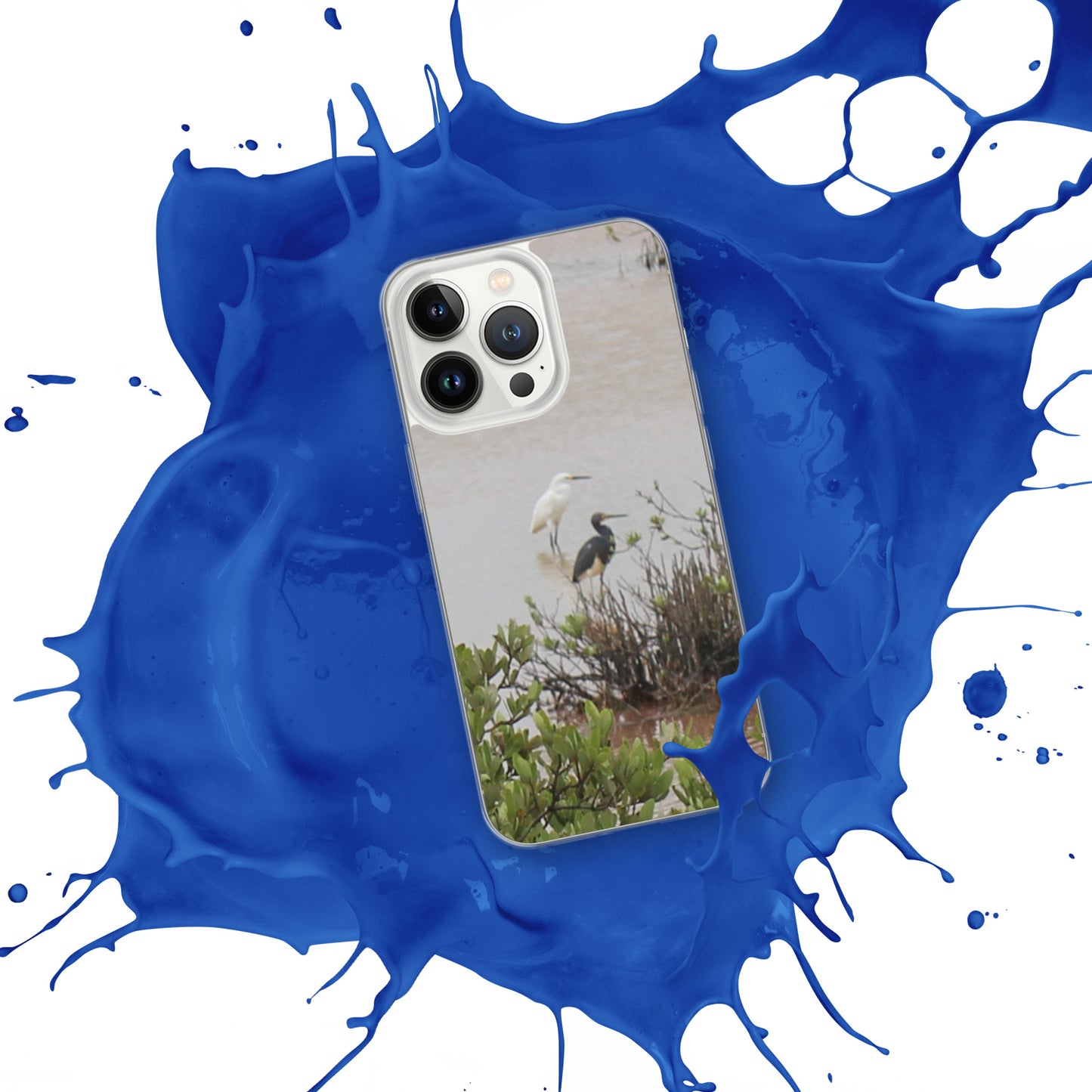 Marsh birds iPhone Case