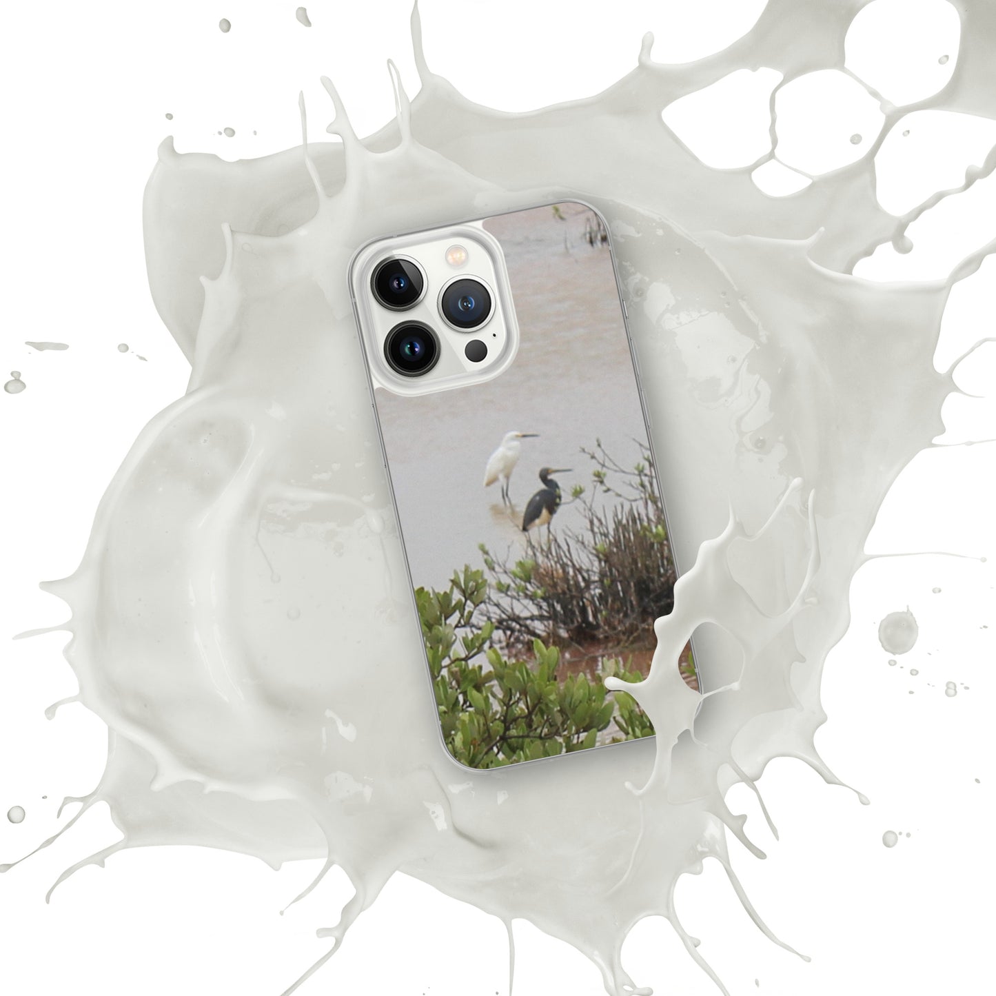 Marsh birds iPhone Case