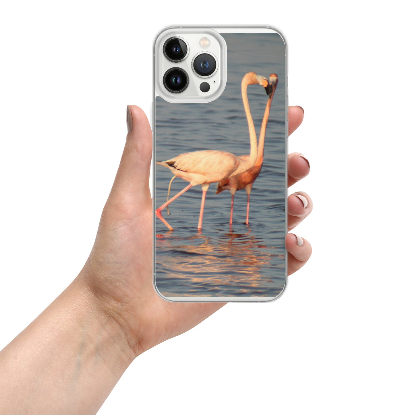 kissing flamingos iPhone Case