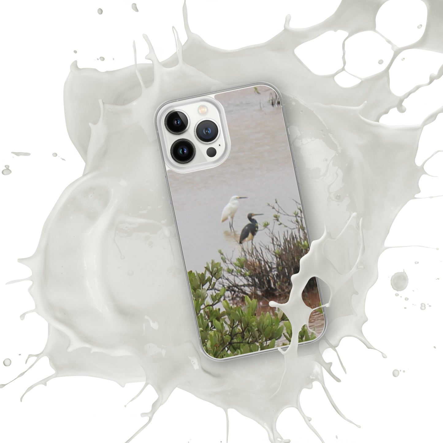 Marsh birds iPhone Case