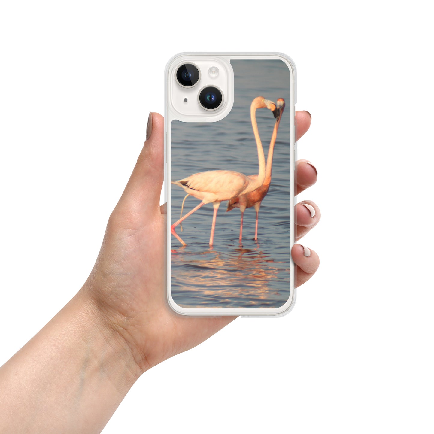 kissing flamingos iPhone Case