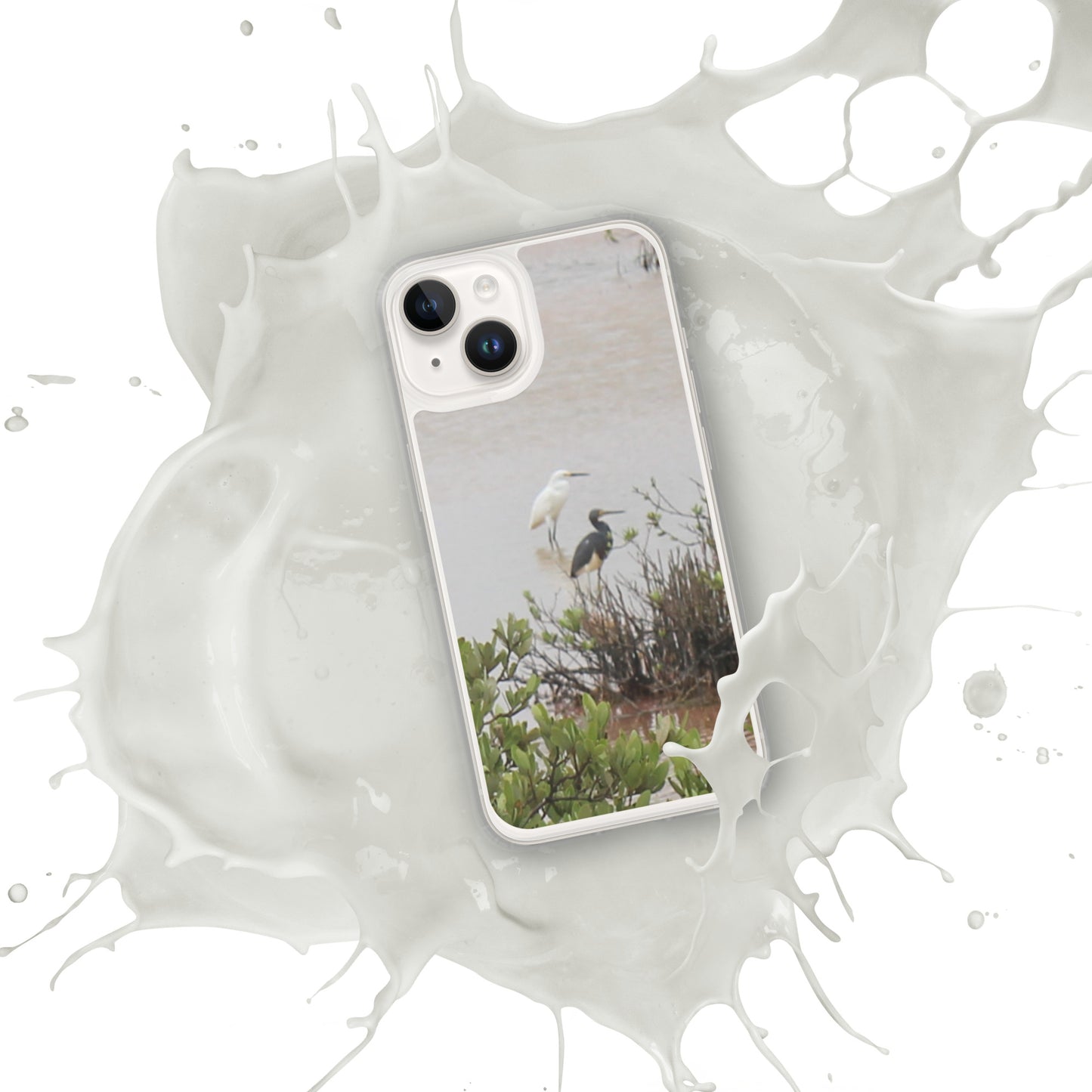 Marsh birds iPhone Case