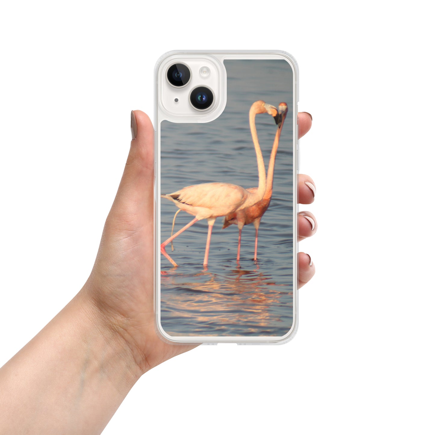 kissing flamingos iPhone Case