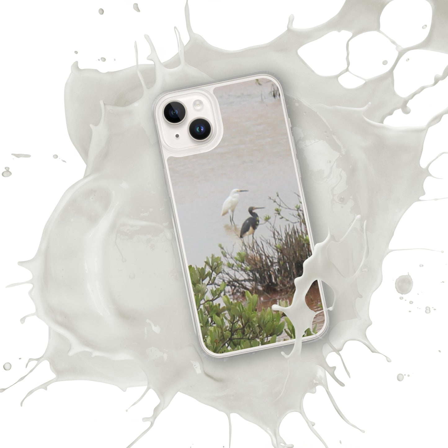 Marsh birds iPhone Case