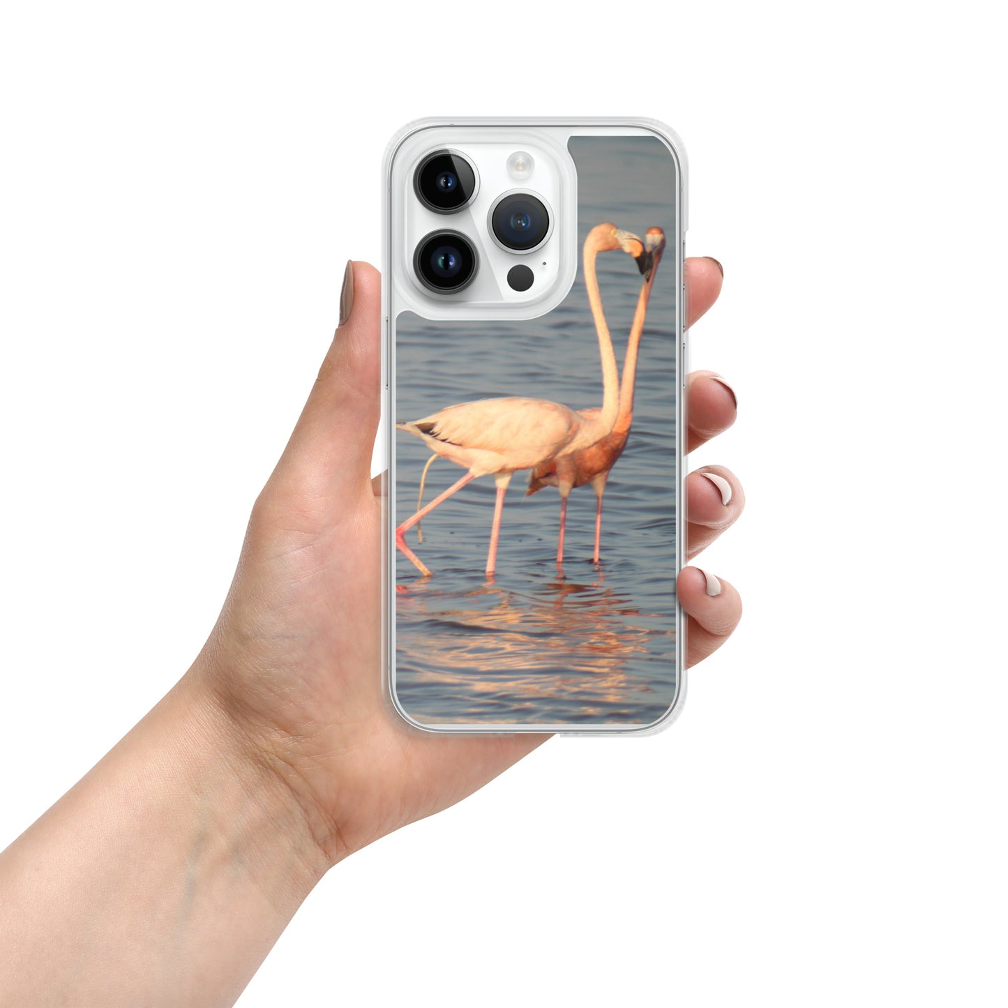 kissing flamingos iPhone Case