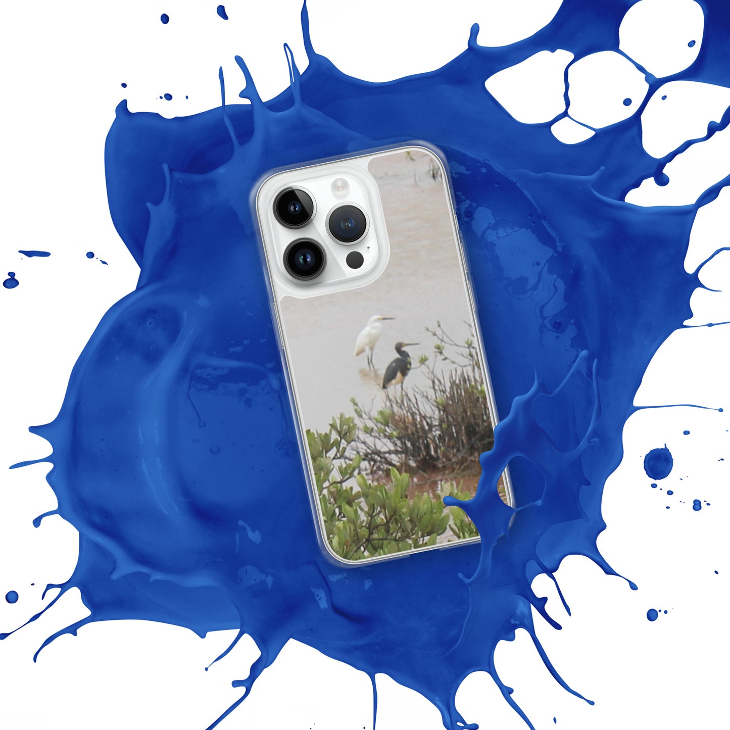 Marsh birds iPhone Case