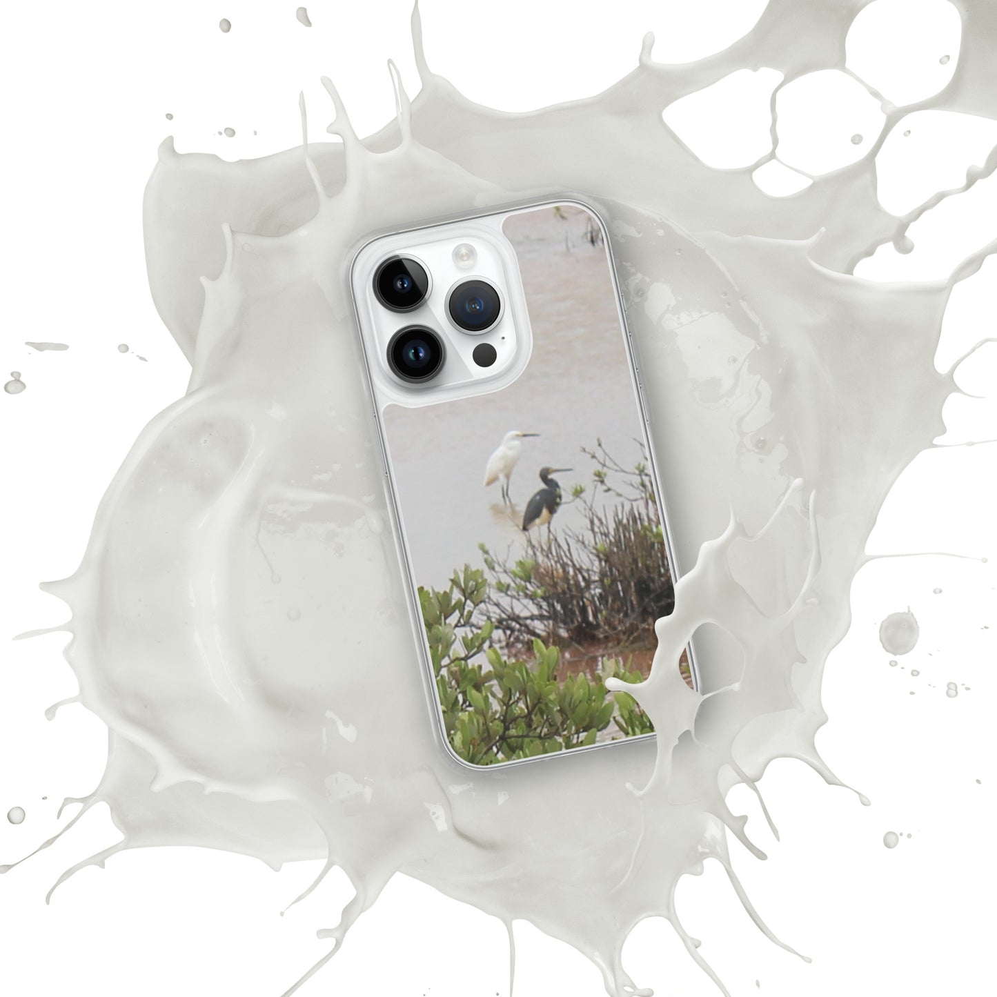 Marsh birds iPhone Case