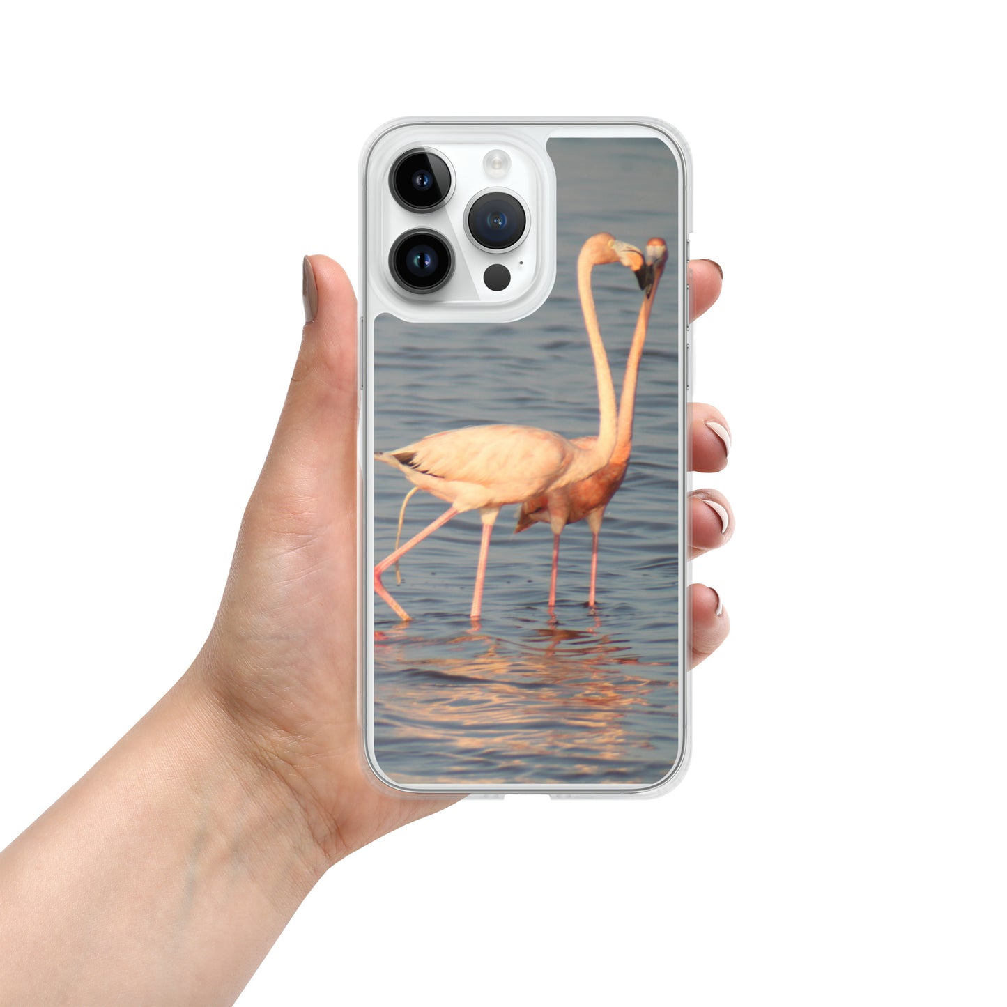 kissing flamingos iPhone Case