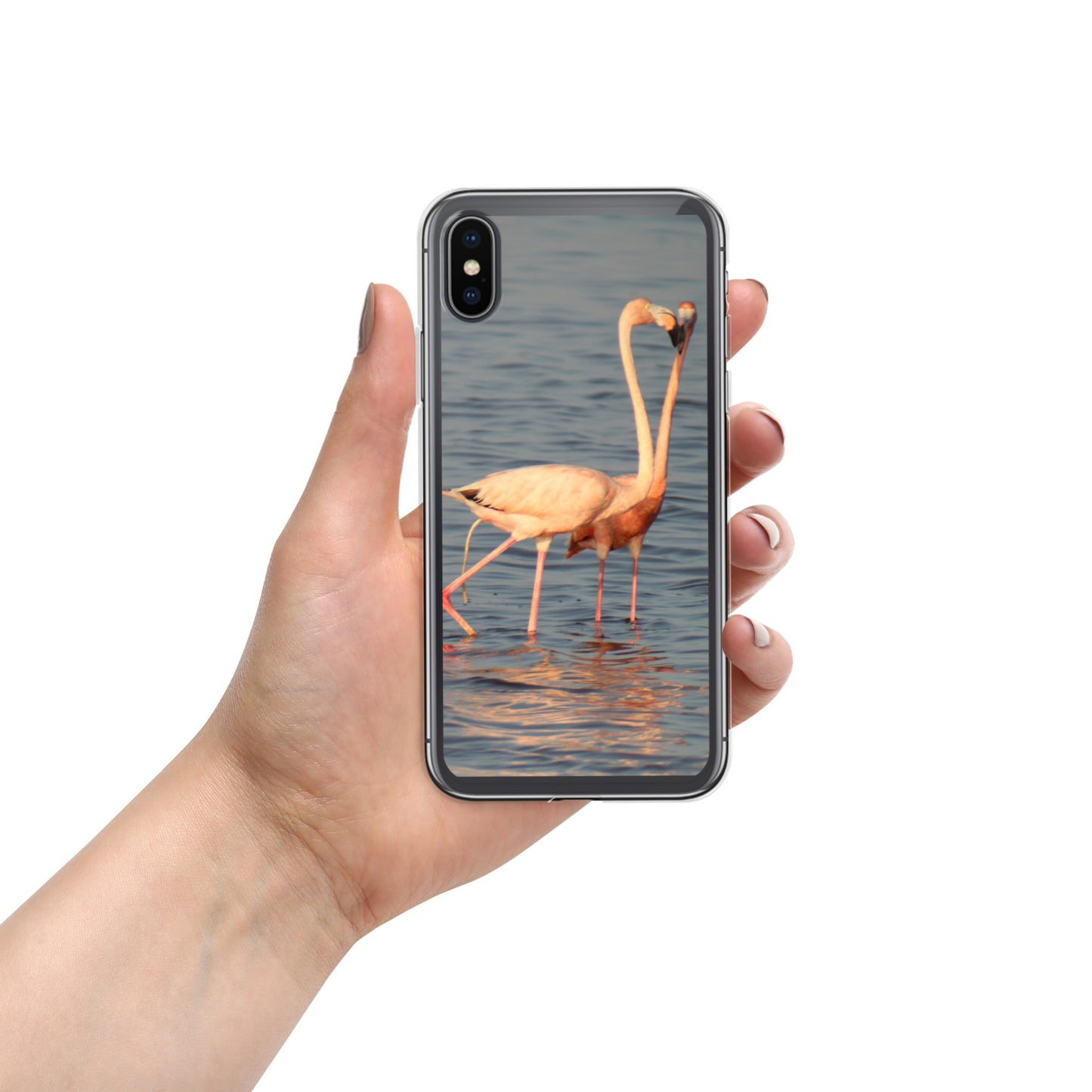 kissing flamingos iPhone Case