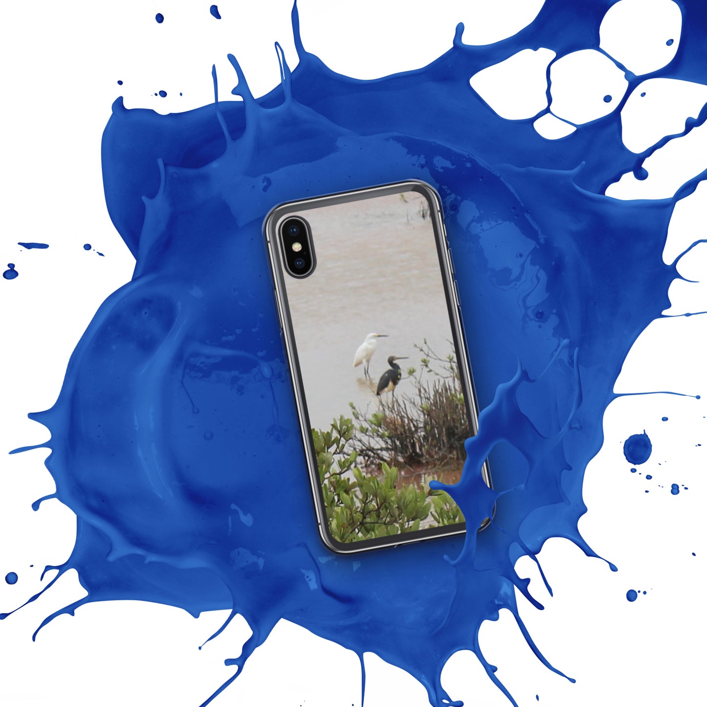 Marsh birds iPhone Case