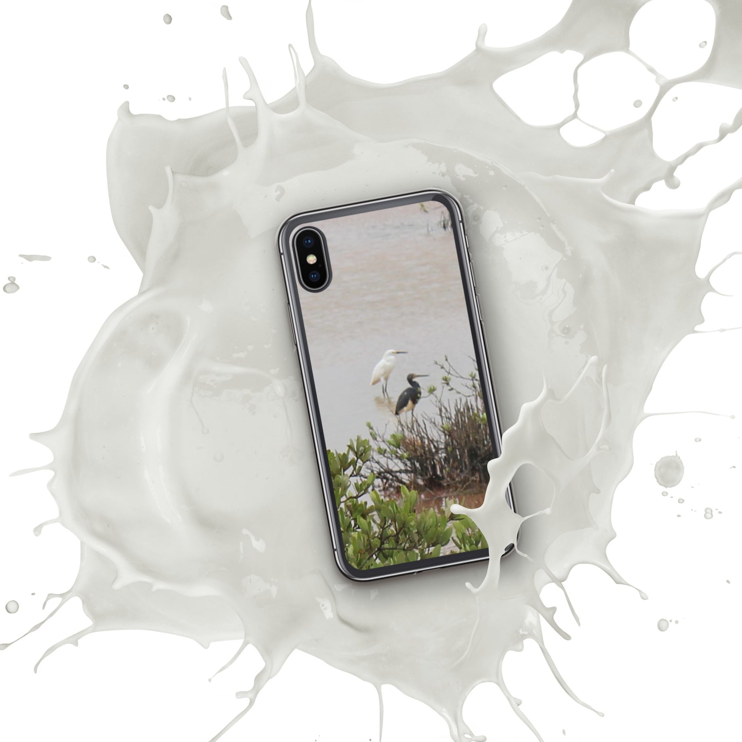 Marsh birds iPhone Case