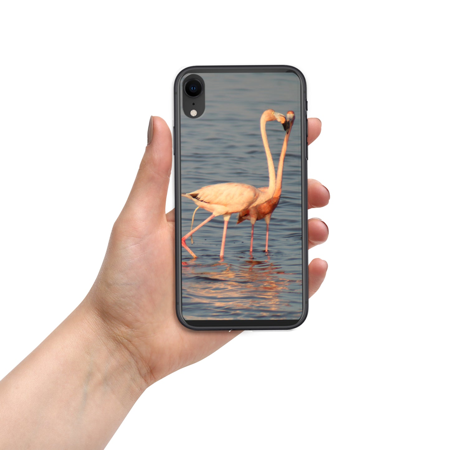 kissing flamingos iPhone Case