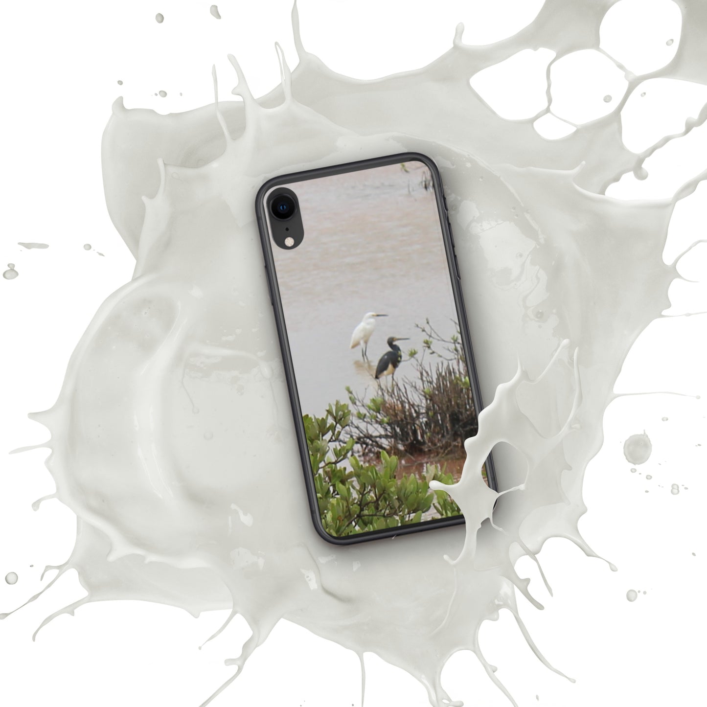 Marsh birds iPhone Case