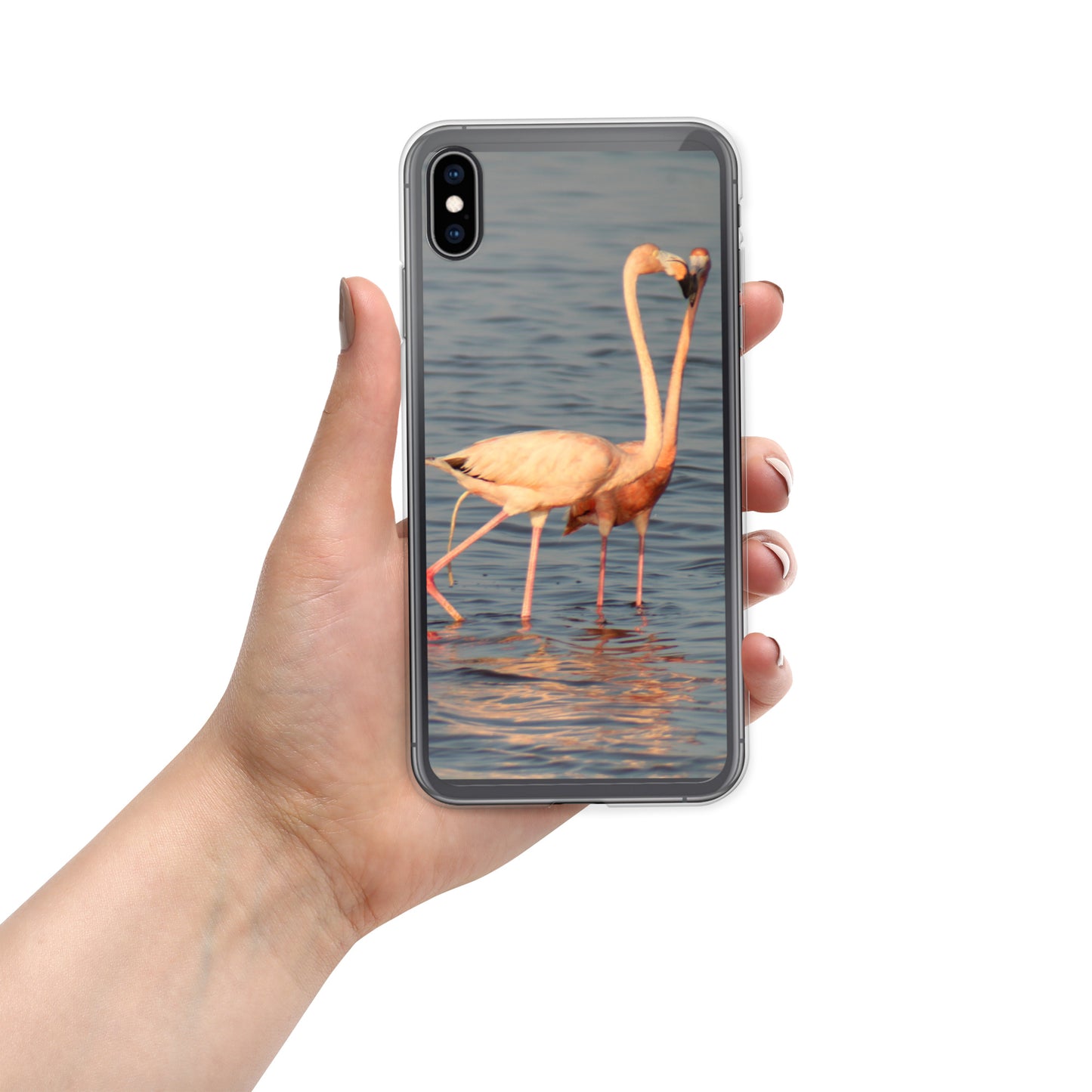 kissing flamingos iPhone Case