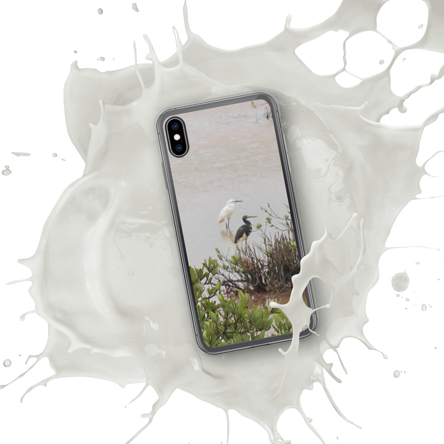 Marsh birds iPhone Case